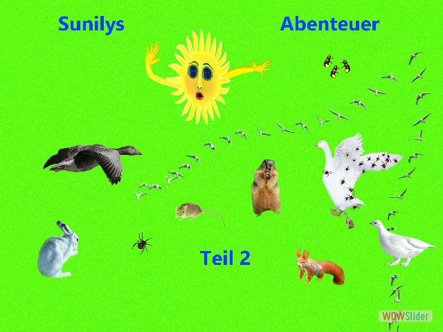 Sunily 2 cover vorne